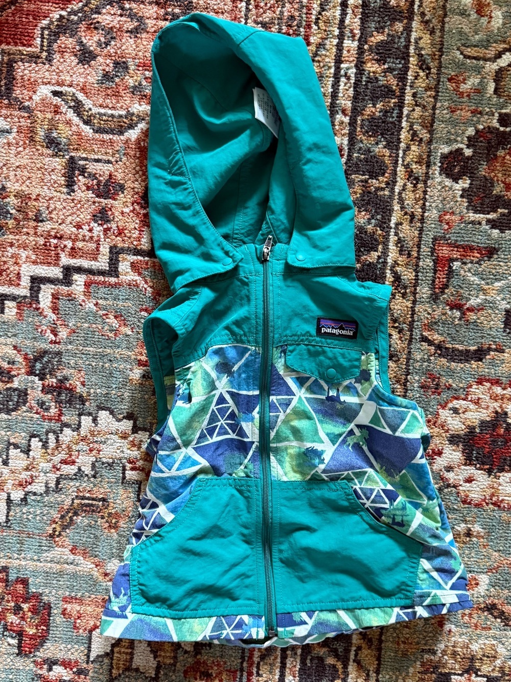 Patagonia Teal Hooded Vest